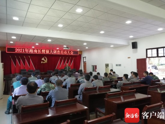 海南国家公园研究院联合海南国家公园管理局霸王岭分局开展海南长臂猿大调查活动正式启动。齐旭明 供图