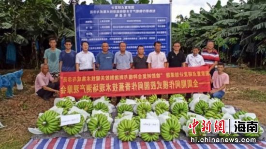 现场测产观摩。热科院供图