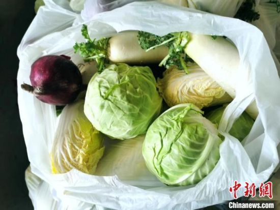 此次调拨的省应急储备菜有白萝卜、莲花白、黄瓜、蒜苔、紫洋葱、娃娃菜等多个品种，　海口市菜篮子食品工程有限公司供图