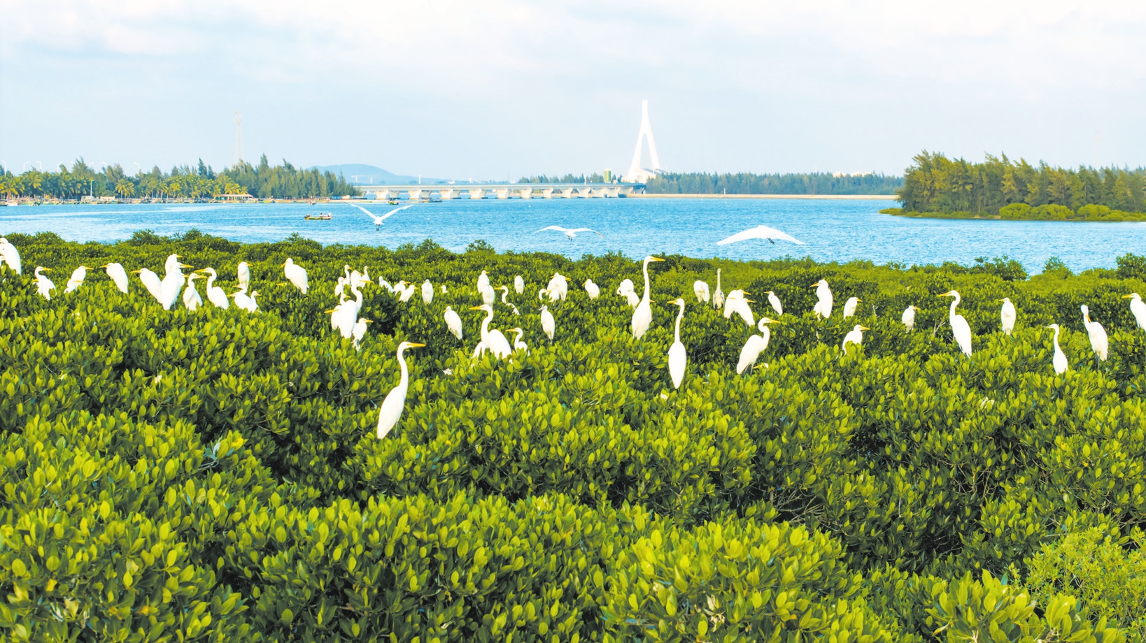 春节旅游市场火热，海南成热门目的地，这些景点你去过吗？