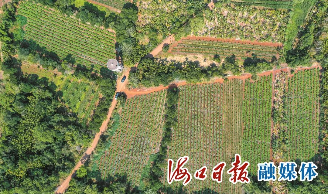 2��20�գ����и�������ϴ�Ƶ����������أ�������Ŀ���ס�������Ȼ�������ձ���ý����߿����� ��