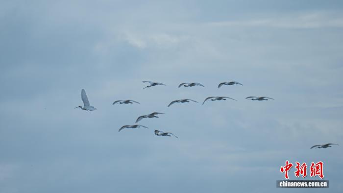 1030գȫΣϡࡢһŴ򿨺ʡı塣Ӿ 