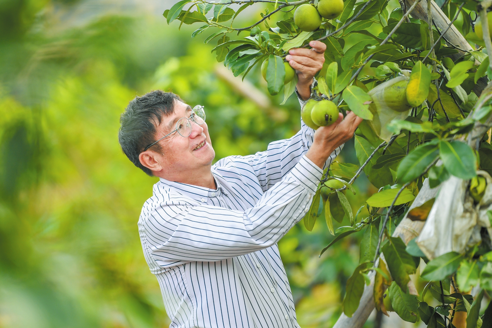 1111գڽȴֲԴƼҵ԰ڲ鿴԰ˮ   