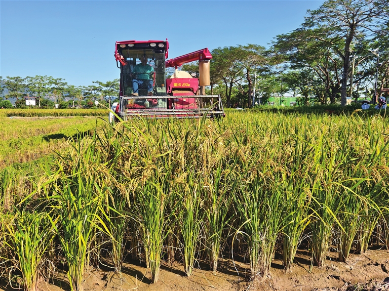 Ʒ֡ƴ25ʾֲոֳ ũҵũֹͼ