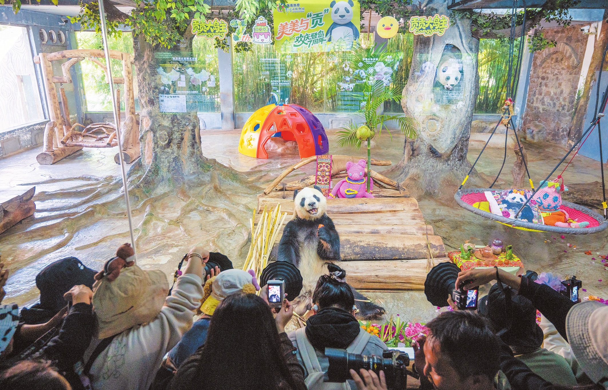 1122գȴҰֲ԰Ϊèֵܹ˴˴ٰǵʯл