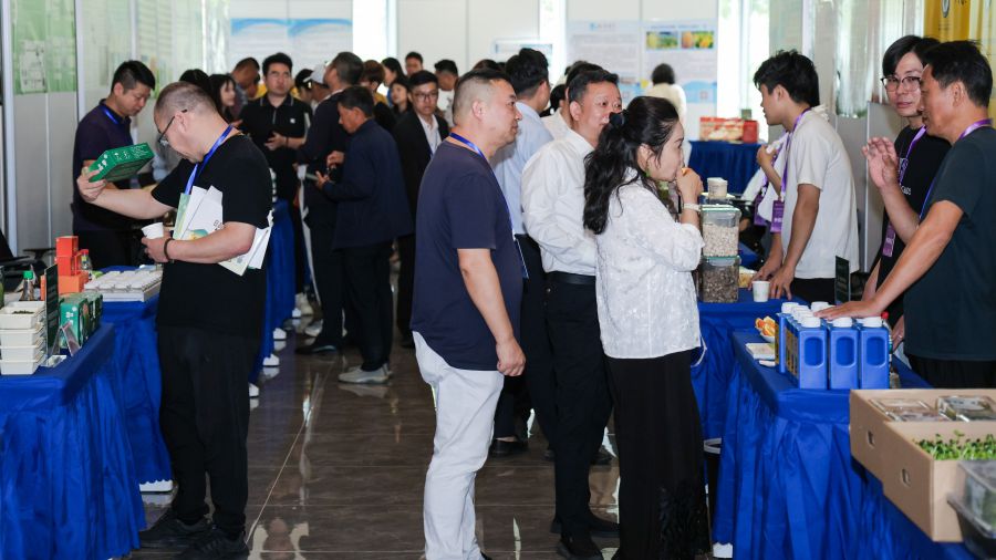 12��17�գ��׽���������ҵ�Ƽ��ɹ�չʾ���׻�������������Ƽ��Ǹ��������С������췽 ��ͼ��