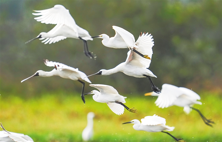 �������ء�