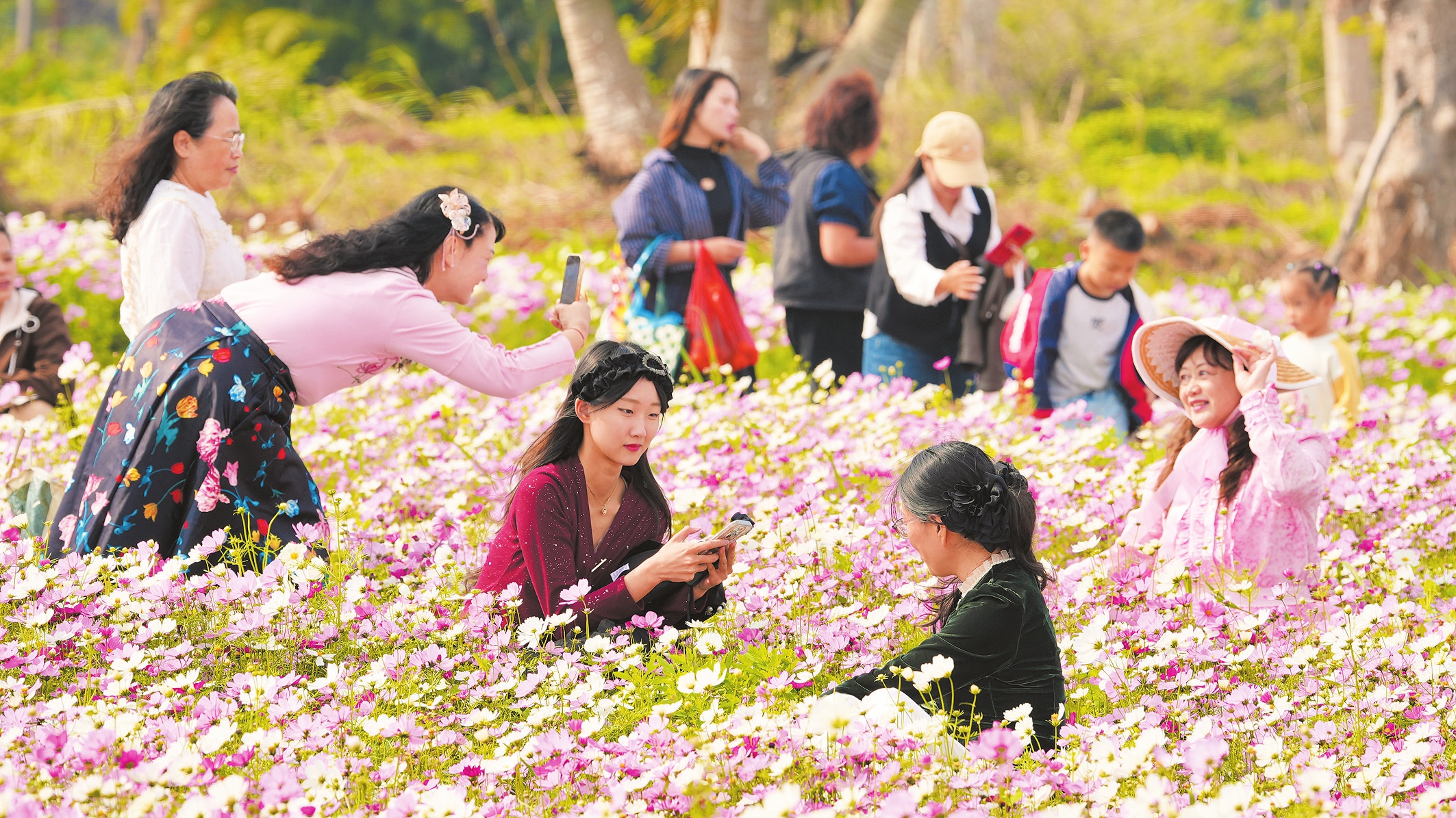 �����������Ϲ��ʻ��ܲ�ҵ԰�ڵ��ʻ��������ţ��۰׽�֯�ġ���̺����չ����Ұ�䣬��Ϊ�����οʹ�̽��������Ŀ�ĵء��������� ���ҿ� ��