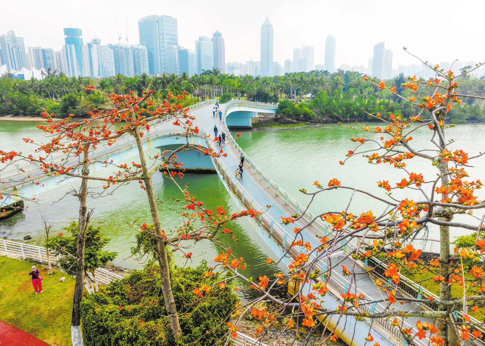 �����ο���ľ�� �������������������ա��������� ʯ�л� ��