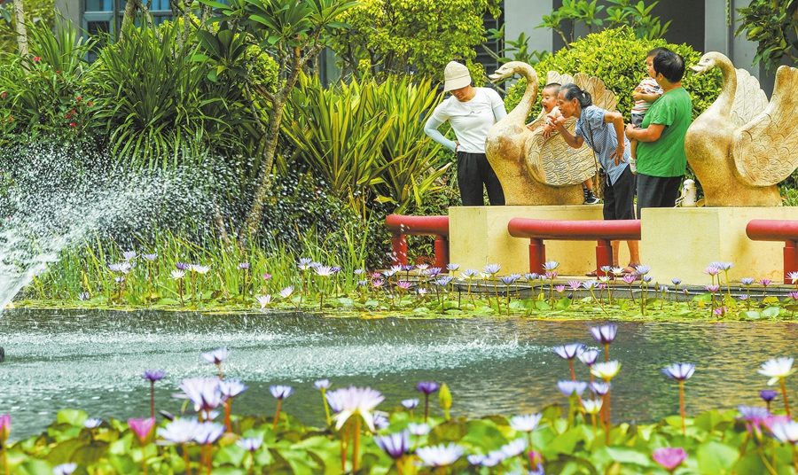 在美兰区天瑞小区内,居民带着孩子在人工湖旁赏景、玩耍。本报记者 康登淋 摄
