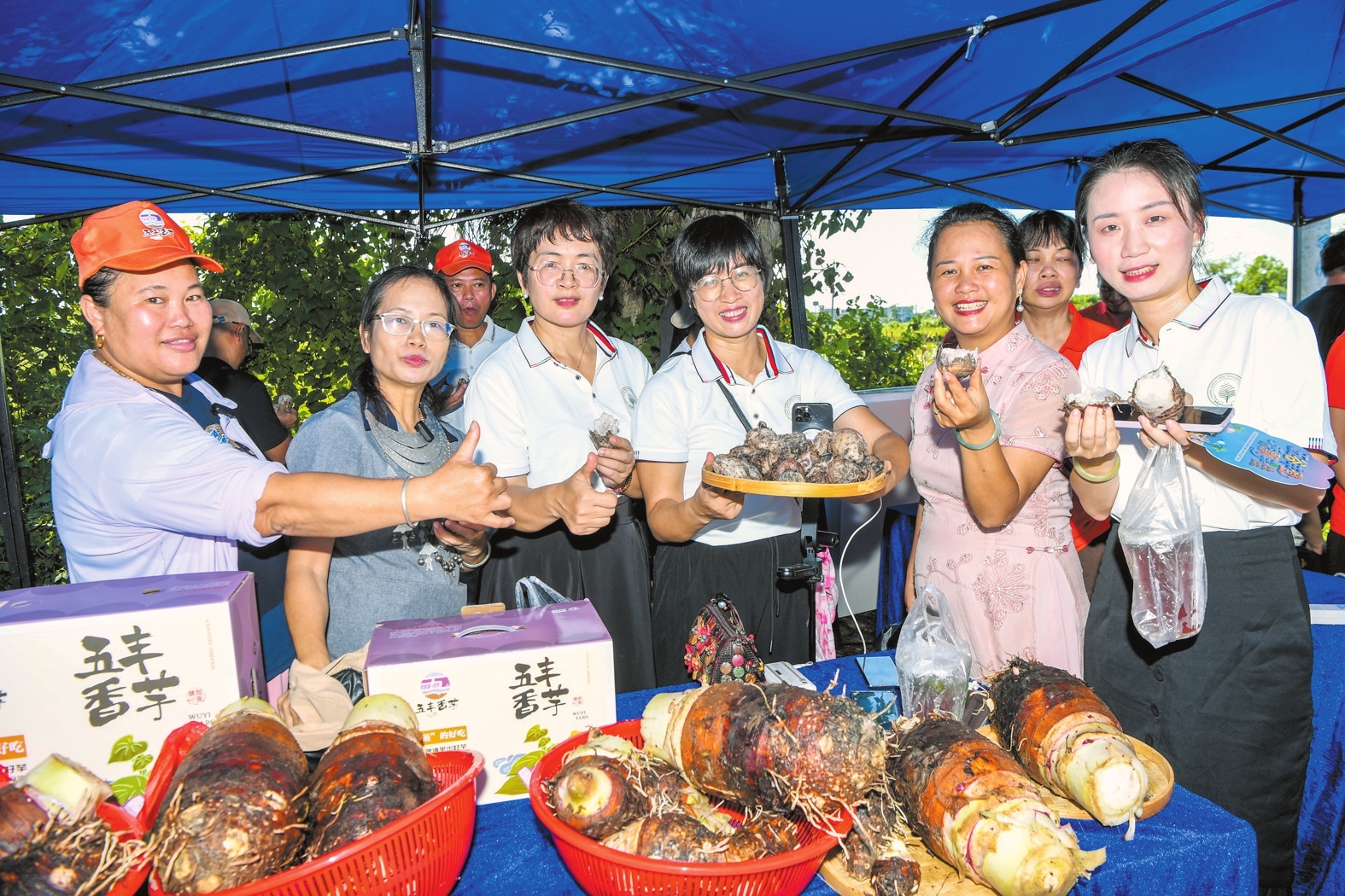 7月11日,五丰香芋“多巴胺”主题游园会吸引众多市民游客沉浸式感受丰收喜悦。本报记者康登淋摄