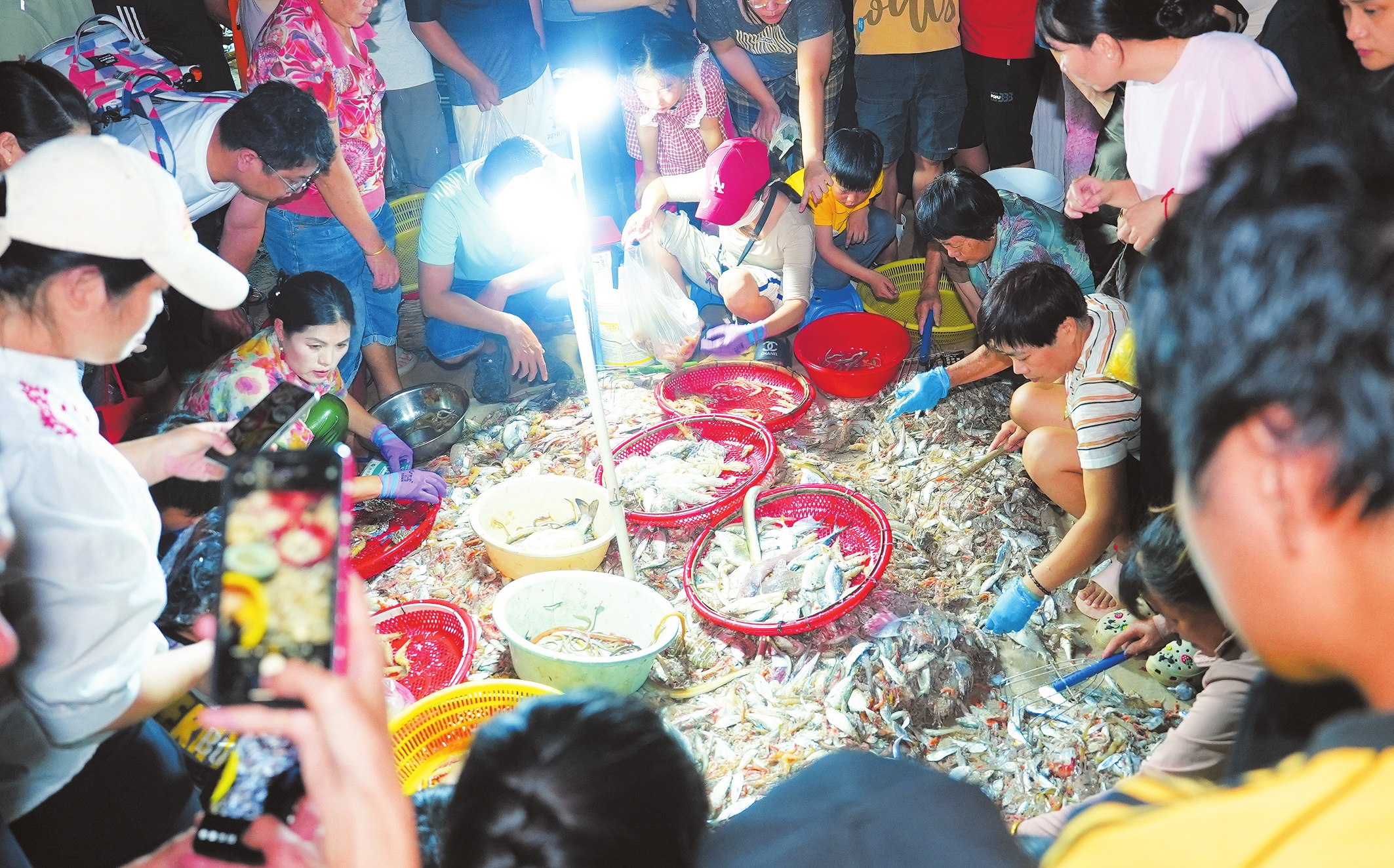 8月26日晚,在荣山寮沙滩鱼市,不少市民游客及采购商正在挑选海鲜。本报记者 杨忠凯 摄