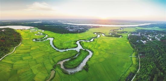 提人居环境擦文化招牌 琼山区:奏高质量发展乐章